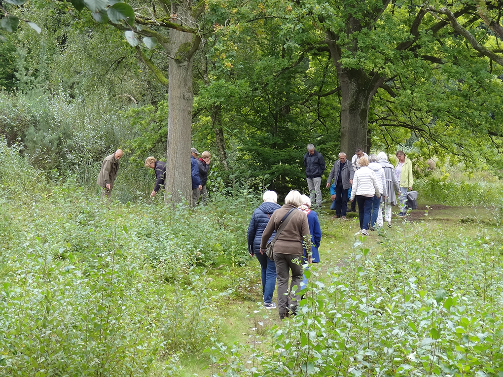  Uistapje 2017, rondleiding in de natuur en uitleg van de natuur. 